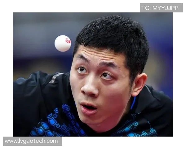 武汉乒乓球队在总决赛积分榜中以56分稳居第一名展现强劲实力