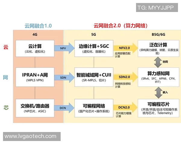 武汉网球队近期状态分析与未来发展展望的深度探讨